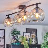 Koyoto Plafondlamp, Kogellampje Amber, Duidelijk, 4-lichts