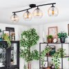 Koyoto Plafondlamp, Kogellampje Amber, Duidelijk, 4-lichts