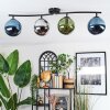 Gastor Plafondlamp, Kogellampje Blauw, Chroom, Groen, Rookkleurig, 4-lichts