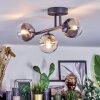Chehalis Plafondlamp, Kogellampje Amber, Duidelijk, Rookkleurig, 3-lichts