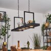 Genor Hanglamp, Hanglamp LED Zwart, Wit, 1-licht, Afstandsbediening