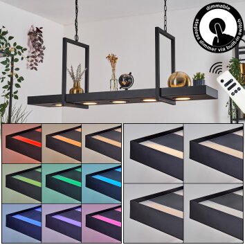 Genor Hanglamp, Hanglamp LED Zwart, Wit, 1-licht, Afstandsbediening