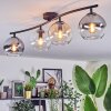 Koyoto Plafondlamp, Kogellampje Amber, Duidelijk, Rookkleurig, 4-lichts