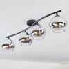 Koyoto Plafondlamp, Kogellampje Chroom, Duidelijk, Rookkleurig, 4-lichts