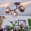Chehalis Plafondlamp, Kogellampje Chroom, Duidelijk, Rookkleurig, 3-lichts