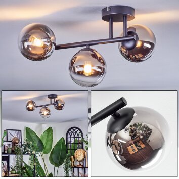 Chehalis Plafondlamp, Kogellampje Chroom, Duidelijk, Rookkleurig, 3-lichts