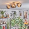 Chehalis Plafondlamp, Kogellampje Rookkleurig, 4-lichts