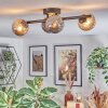 Chehalis Plafondlamp, Kogellampje Amber, Rookkleurig, 4-lichts