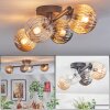 Chehalis Plafondlamp, Kogellampje Amber, Duidelijk, Rookkleurig, 4-lichts