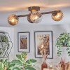 Chehalis Plafondlamp, Kogellampje Amber, Duidelijk, Rookkleurig, 4-lichts