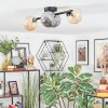 Chehalis Plafondlamp, Kogellampje Amber, Rookkleurig, 4-lichts