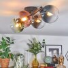 Chehalis Plafondlamp, Kogellampje Blauw, Chroom, Groen, Duidelijk, Koperkleurig, Rookkleurig, 4-lichts