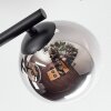 Chehalis Plafondlamp, Kogellampje Chroom, Duidelijk, Rookkleurig, 3-lichts