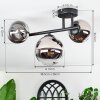 Chehalis Plafondlamp, Kogellampje Chroom, Duidelijk, Rookkleurig, 3-lichts