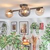 Chehalis Plafondlamp, Kogellampje Amber, Duidelijk, Rookkleurig, 4-lichts
