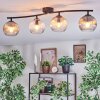 Koyoto Plafondlamp, Kogellampje Amber, Duidelijk, Rookkleurig, 4-lichts