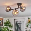 Ripoll Plafondlamp, Kogellampje Amber, Duidelijk, Rookkleurig, 3-lichts