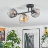 Ripoll Plafondlamp, Kogellampje Amber, Duidelijk, Rookkleurig, 3-lichts