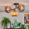 Ripoll Plafondlamp, Kogellampje Amber, Rookkleurig, 3-lichts