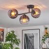 Koyoto Plafondlamp, Kogellampje Duidelijk, Rookkleurig, 3-lichts