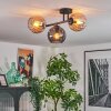 Koyoto Plafondlamp, Kogellampje Amber, Rookkleurig, 3-lichts