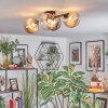Chehalis Plafondlamp, Kogellampje Amber, Duidelijk, Rookkleurig, 4-lichts