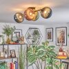 Chehalis Plafondlamp, Kogellampje Blauw, Groen, Koperkleurig, 4-lichts