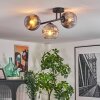Ripoll Plafondlamp, Kogellampje Chroom, Duidelijk, Rookkleurig, 3-lichts