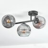 Ripoll Plafondlamp, Kogellampje Chroom, Duidelijk, Rookkleurig, 3-lichts