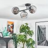 Ripoll Plafondlamp, Kogellampje Chroom, Duidelijk, Rookkleurig, 3-lichts