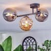 Chehalis Plafondlamp, Kogellampje Amber, Rookkleurig, 3-lichts