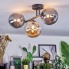 Chehalis Plafondlamp, Kogellampje Amber, Rookkleurig, 3-lichts