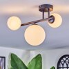 Chehalis Plafondlamp, Kogellampje Wit, 3-lichts
