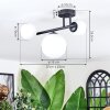 Chehalis Plafondlamp, Kogellampje Wit, 3-lichts