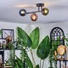 Chehalis Plafondlamp, Kogellampje Blauw, Groen, Koperkleurig, 3-lichts