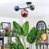 Chehalis Plafondlamp, Kogellampje Blauw, Groen, Koperkleurig, 3-lichts