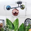 Chehalis Plafondlamp, Kogellampje Blauw, Groen, Koperkleurig, 3-lichts