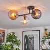 Koyoto Plafondlamp, Kogellampje Amber, Duidelijk, Rookkleurig, 3-lichts