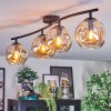 Ripoll Plafondlamp, Kogellampje Amber, 4-lichts