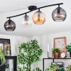 Koyoto Plafondlamp, Kogellampje Amber, Duidelijk, Rookkleurig, 4-lichts