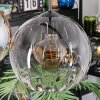 Koyoto Hanglamp, Kogellampje, Hanglamp Amber, Duidelijk, Rookkleurig, 4-lichts