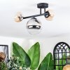 Chehalis Plafondlamp, Kogellampje Amber, Duidelijk, Rookkleurig, 3-lichts
