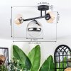 Chehalis Plafondlamp, Kogellampje Amber, Duidelijk, Rookkleurig, 3-lichts
