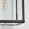 Gramilla Wandlamp voor buiten, Wandlamp Zwart, 1-licht