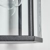 Monfanim Wandlamp voor buiten, Wandlamp Zwart, 1-licht