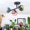Chehalis Plafondlamp, Kogellampje Blauw, Groen, Duidelijk, Koperkleurig, 3-lichts