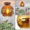 Koyoto Plafondlamp, Kogellampje Goud, 1-licht