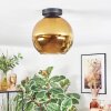 Koyoto Plafondlamp, Kogellampje Goud, 1-licht