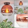 Koyoto Plafondlamp, Kogellampje Duidelijk, Koperkleurig, 1-licht