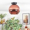Koyoto Plafondlamp, Kogellampje Koperkleurig, 1-licht